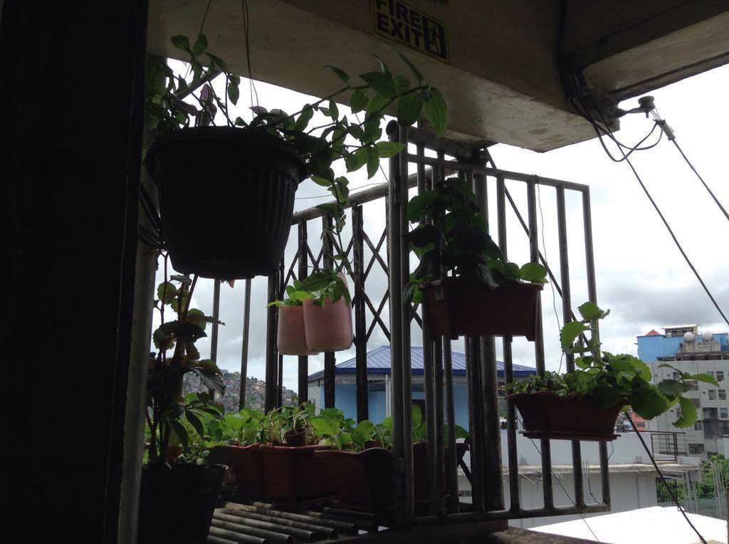 Cv Bed N Bath Bed & Breakfast Baguio City Eksteriør bilde